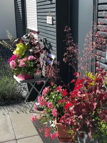 Schweizisk lille hus - roligt og solrige beliggenhed - Image 5