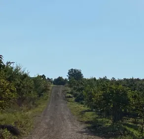 We Have A Campsite for Your RV - Image 5