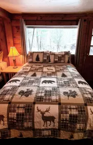 Rustic Cabin in beautiful environment under Pine Trees - Image 3