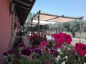 AGRITOURISM \"SANTA FELICITA\" - Image 2