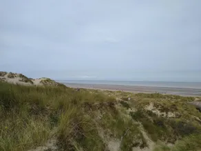 Villa Oostduinkerke, 400m sea+dunes,quiet+green+much light, 6p+baby,3bed+2bath - Image 4