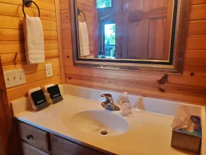 3 BR 2BA Cabin Retreat in Beautiful Crawford County by the Mississippi River - Image 4