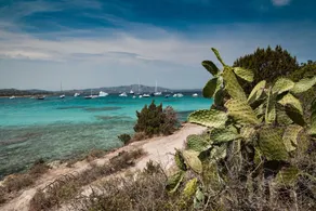 Villetta Franca 100m From The Beach - Happy Rentals - Image 5