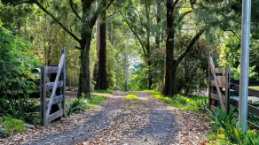 Altitude Kangaroo Valley - Image 4