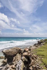 Intoxicating Ocean Views!! 4-6 bedrooms - Image 4