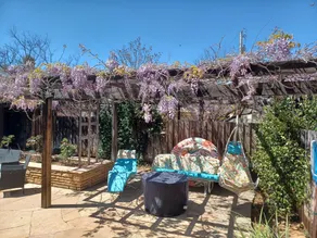 Oasis in the Desert (6 Minuten bis Ft Huachuca) - Image 2