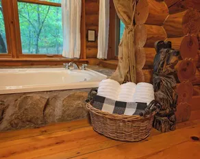 Ocoee Log Cabin steps from Ocoee in resort village - Image 3