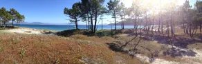 Idylliskt läge i naturen 1 km från havet (4/5 sovrum, 8 sovplatser plus 3) - Image 2