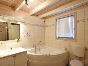 Vacation home, sauna, Jacuzzi, fireplace, beach chair, 2 bathrooms, 3 bedrooms - Image 4