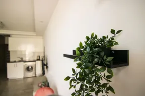 Phaedrus Living: Seaside Luxury Flat Athina 115 - Image 2
