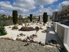 Royal Sea Crest - Image 5