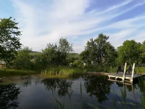 Fantastisk familieferiehus med økologisk swimmingpool omgivet af natur - Image 5