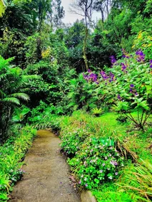 Private Attached 1BR in Monteverde - Gulf Views - Sleeps 3 - Image 5