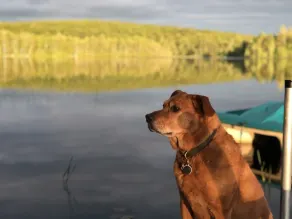 Wolfeboro Lakehouse Retreat - Image 2