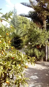 Casita GioJa a2km from TROPEA - Image 3