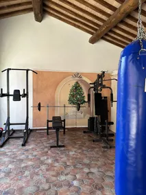 Manor Villa with private pool and SPA surrounded by greenery - Image 5