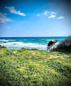 Waterfront villa 150 m from the beach - Image 4