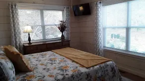 Private Waterfront property with Mountains surrounding the Loft on the Doe River - Image 5