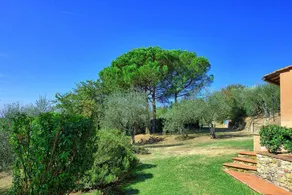 Smuk lejlighed med WIFI, pool, TV, kæledyr tilladt og panorama udsigt, nær ved Firenze - Image 5