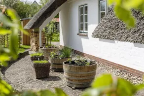 Ferienwohnung Unter Reet \"leibrandts Fein & Reetlich\" in Tating für 2 Personen - Image 5