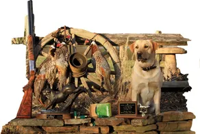 Beautiful Lodge Style Living. Hunting And Fishing Available. Pet Friendly. - Image 5