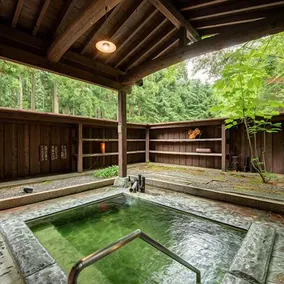 Sakihana Onsen Ichisuiso - Image 2