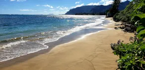 * 499 $ Special!* Oceanfront Private Oasis w / central AC - Turtle Point Beach House - Image 5