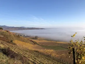 Studio au calme à  5 minutes de Colmar, proche Château du Wineck - Image 5