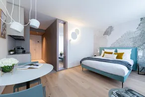 Deluxe Studio      . - Image 3