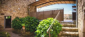 Mas du Vernadel: 5 gites in the countryside with swimming pool:Gite FIGUIER 3/4 pers. max - Image 4