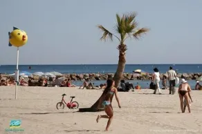 Studio, 4px, tollen Blick auf den Yachthafen, 66750 St Cyprien Strand. 250 € Woche - Image 4