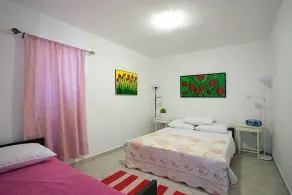 Apartamento de una habitación con una terraza Poljana, Ugljan (A-8523-b) - Image 4