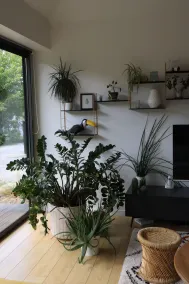 Arkitekthus i Ondres, mellan hedar och Baskien - Image 2