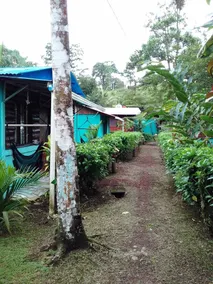 Come &  Feel Like At Home  With A Real Costa Rican Family!! - Image 3