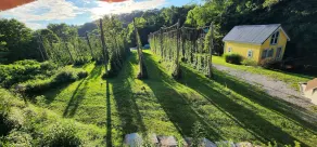 Mardi Gras House – Cozy Cabin on a Peaceful Farm - Image 3