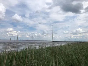 Ferienwohnung Borkum - Image 3