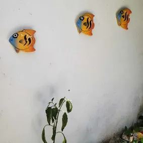 ¡Ven a conocer las bellezas naturales de nuestra ciudad! - Image 3