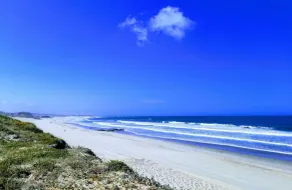 Beachfront apartment, perfect for surfing, hiking, and incredible sunsets! - Image 5