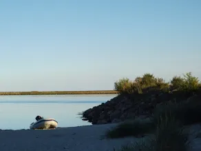 🐟einzigartige Lage des \"kleinen Häuschens\" am Pieranfang mit freiem Blick🐟 - Image 3