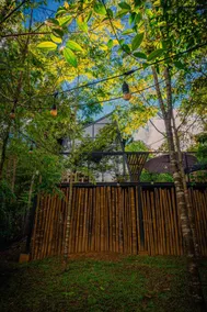 Silvery Bungalows en el Bosque - Image 4