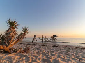 Bright house near the sea with WiFi and pets allowed - Image 4