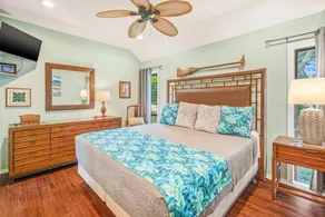 Lae Nani 338 Oceanview with AC a \"Coconut Coast Beauty\" - Image 5