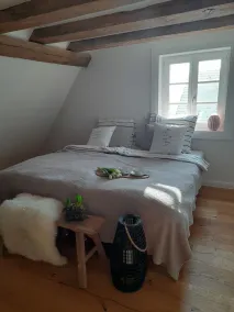 Modern vacation apartment \"Tante Emma\"  - Image 5