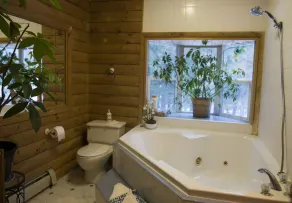 Japanese jacuzzi suite surrounded by state forest! 11 miles south of Ithaca - Image 2