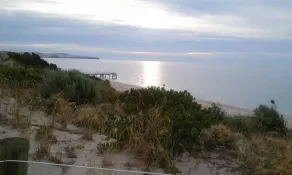 Lápis Pine Place em Normanville - Image 5