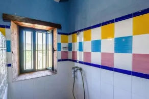 Rural house on a 22-hectare farm. Dehesa, Olivar, trails, swamp and animals - Image 4