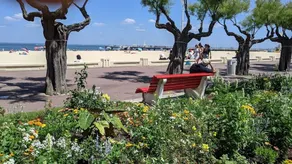 Résidence Antares - Arcachon – T2 à deux pas du centre-ville et de la plage MAE-9284 - Image 5