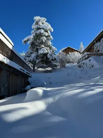 APARTEMENT TERRACE SOUTH FACING ON THE SLOPES Sunday to Sunday - Image 5