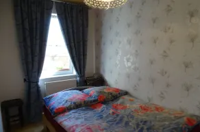 Urlaub im Herzen Sachsens - Image 2