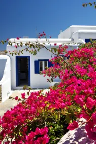 Fulfill Your Holiday Dreams at Panormos - Image 5